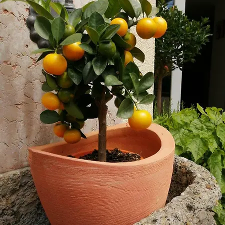 Katrin Pensjonat Salzburg