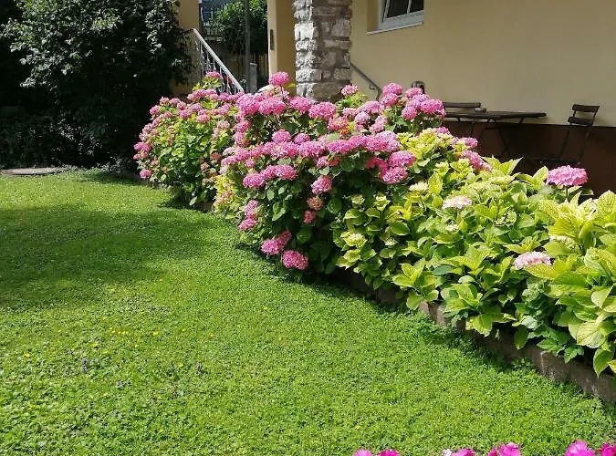 ペンション カトリン ゲストハウス 4*