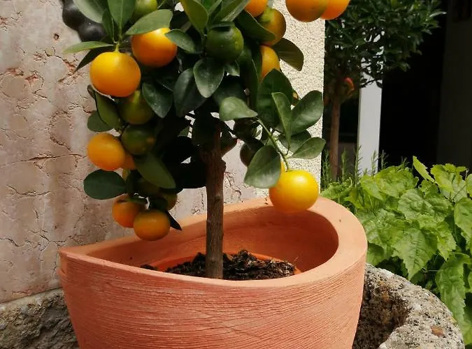 ペンション カトリン ゲストハウス ザルツブルク