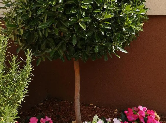 Katrin בית הארחה 4*